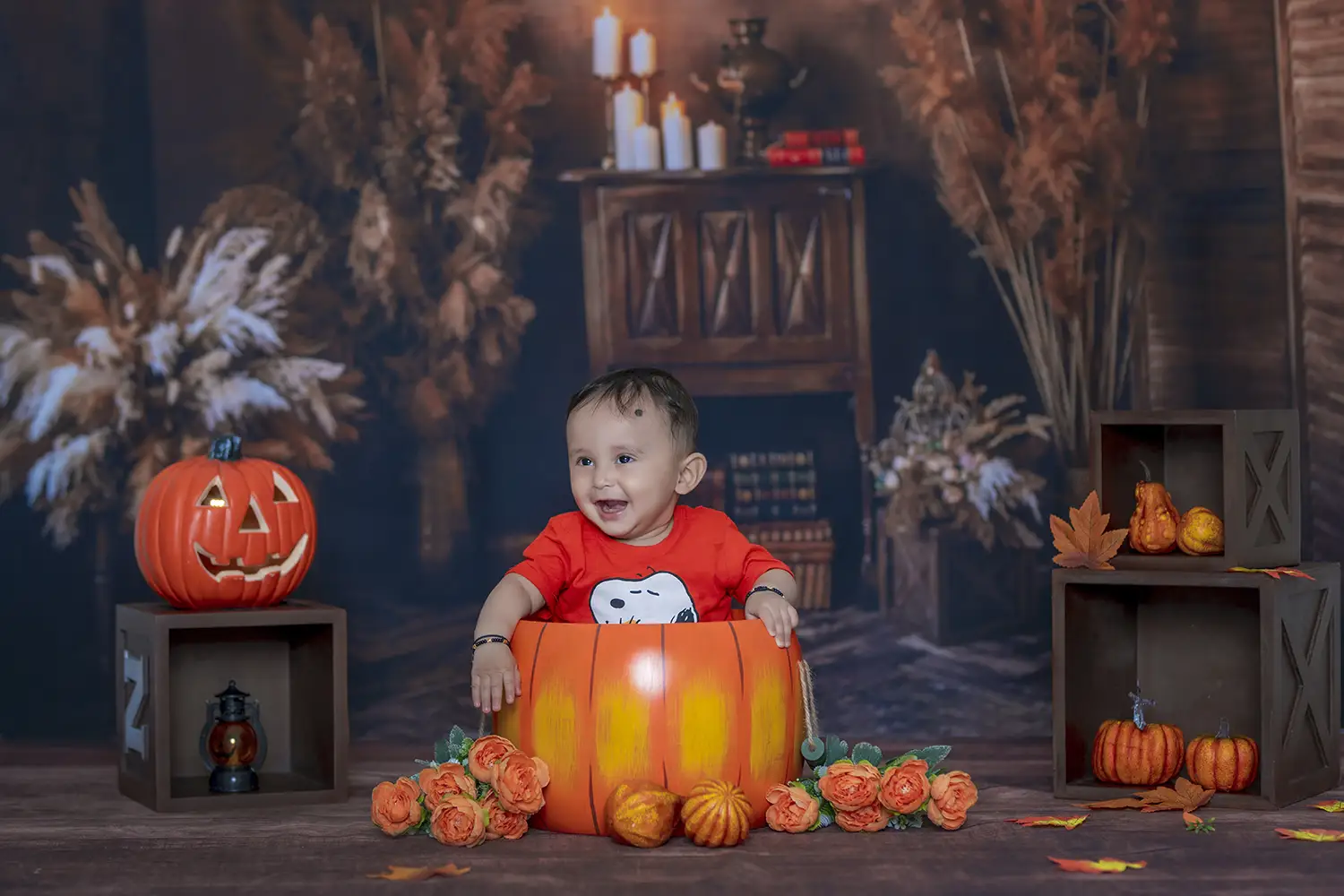 https://dx21q3b76hjv4.cloudfront.net/images/new/themes/pumpkin/baby-shoot.webp