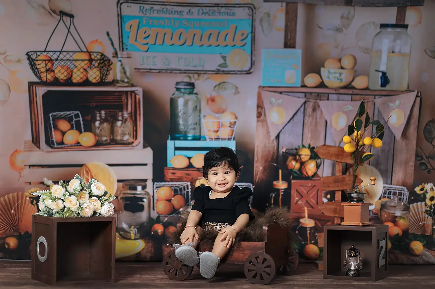 https://dx21q3b76hjv4.cloudfront.net/images/new/themes/the-lemon-tree/baby-photoshoot-themes.webp